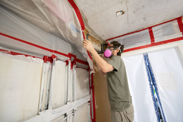 Best Comprehensive Air Testing for Mold Contaminants  in Three Rivers, MI