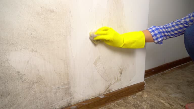 Biohazard Mold Removal in Three Rivers, MI