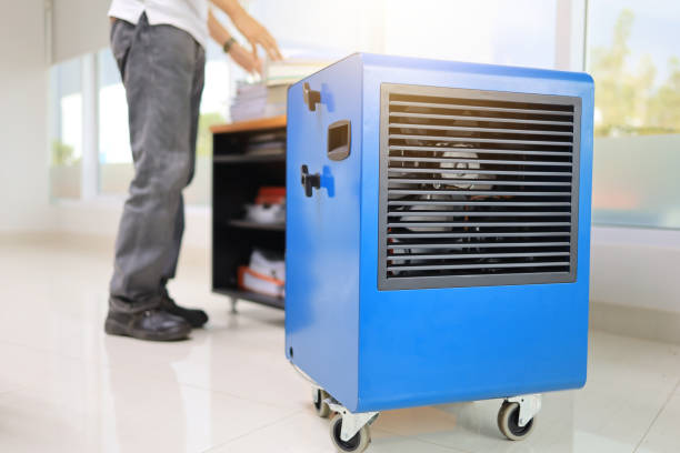 Best Black Mold Removal  in Three Rivers, MI