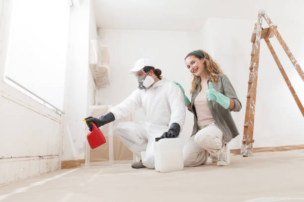 Reliable Three Rivers, MI Mold Removal Solutions