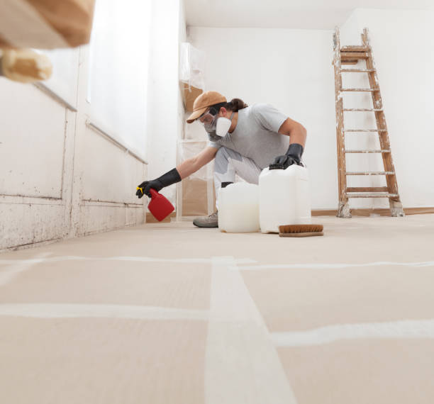 Best Environmental Consulting for Mold Prevention  in Three Rivers, MI