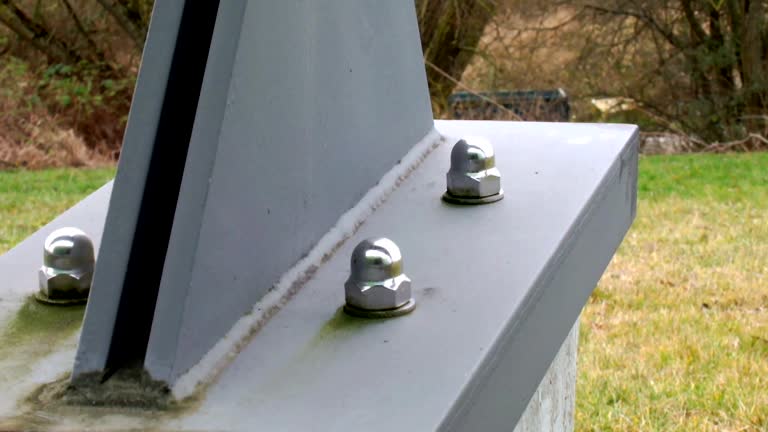 Best Attic Mold Removal  in Three Rivers, MI